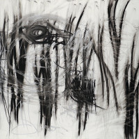 rollin marquette light and dark 27