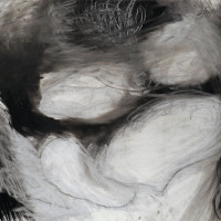 rollin marquette light and dark 29