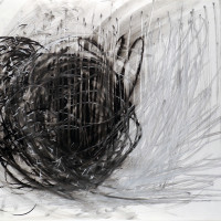 rollin marquette light and dark 47